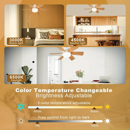 Silent Wind Speed Of 20.5/16.5in Remote Control Ceiling Fans Modern LED Fan Light With Adjustable Wind Speed In Three Levels.